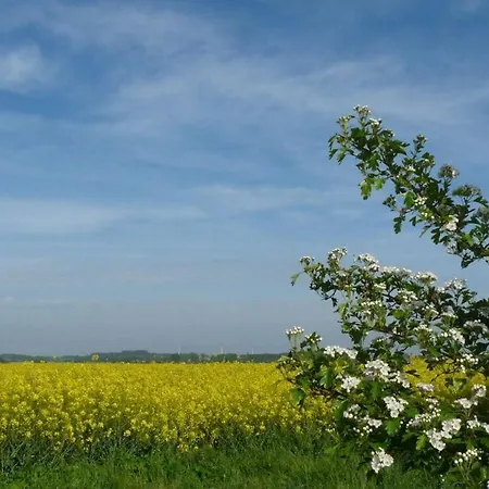 דירה Gorch Fock In The House Of Aquarius