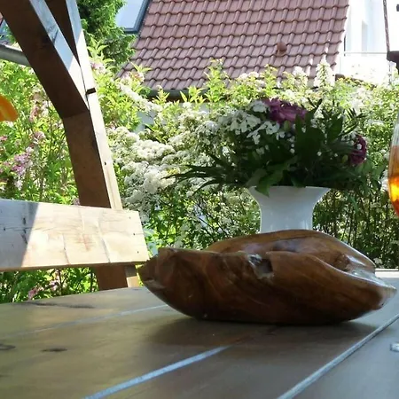 Gorch Fock In The House Of Aquarius רריק